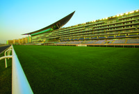 About Meydan Grandstand